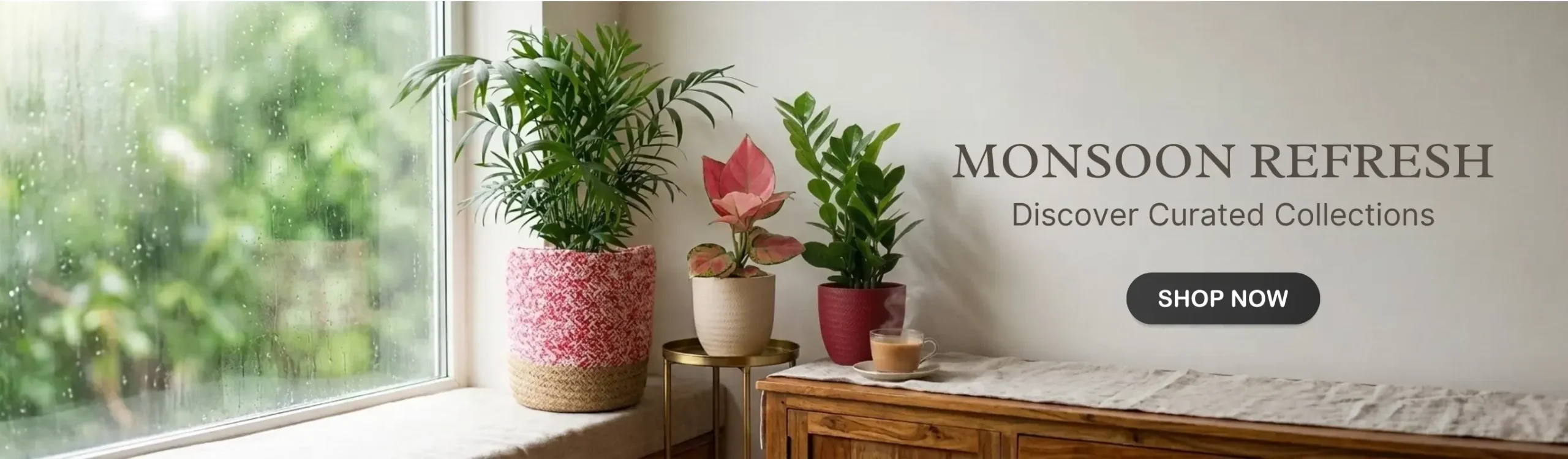 imgi_3_indoor-plant-plants-Monsoon-month-sale-2026-banner-D-greenkin-3