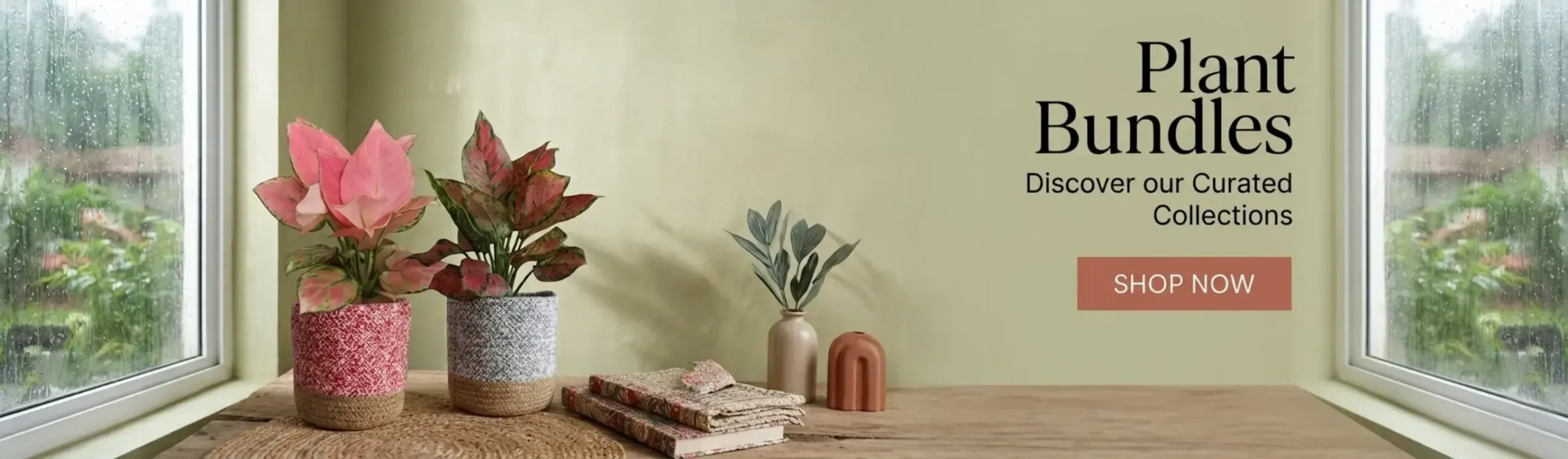 imgi_5_combo-plants-set-monsoon-month-sale-2026-banner-D-greenkin