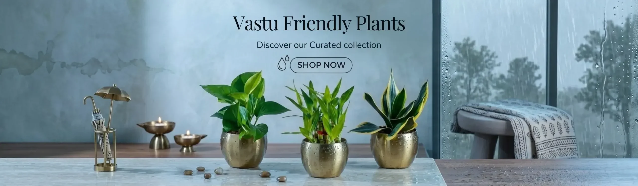 imgi_5_vastu-plants-set-monsoon-month-sale-2026-banner-D-greenkin (1)